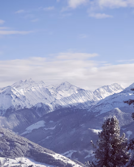 Aussicht von der Platzlalm auf die verschneiten Berge Schneebedeckte Berge unter einem bewölkten Himmel, umgeben von grünen Nadelbäumen im Vordergrund.