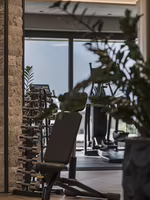 Moderne Fitnessumgebung mit Hanteln, einer Trainingsbank und Blick auf Geräte im Hintergrund, umgeben von Pflanzen.