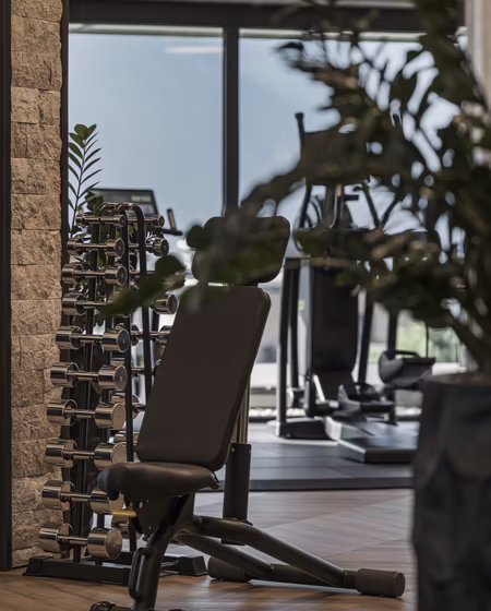 Moderne Fitnessumgebung mit Hanteln, einer Trainingsbank und Blick auf Geräte im Hintergrund, umgeben von Pflanzen.