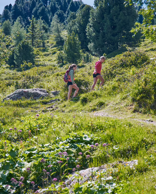 Wandern in den Bergen Zwei junge Frauen beim Wandern auf einem Bergpfad in grüner Natur