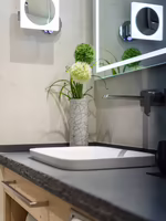 Moderne Badezimmeransicht mit einem Waschbecken, einem Spiegel und einer Vase mit grünen Pflanzen auf einer dunklen Arbeitsplatte.