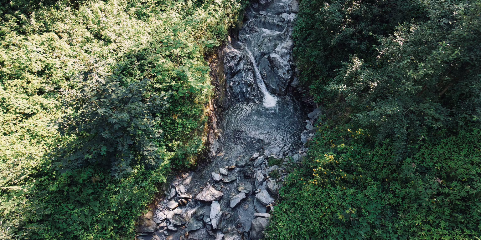 Riedbach in Ried im Zillertal Ein kleiner Wasserfall fließt über Felsen, umgeben von üppigem, grünem Pflanzenwuchs.