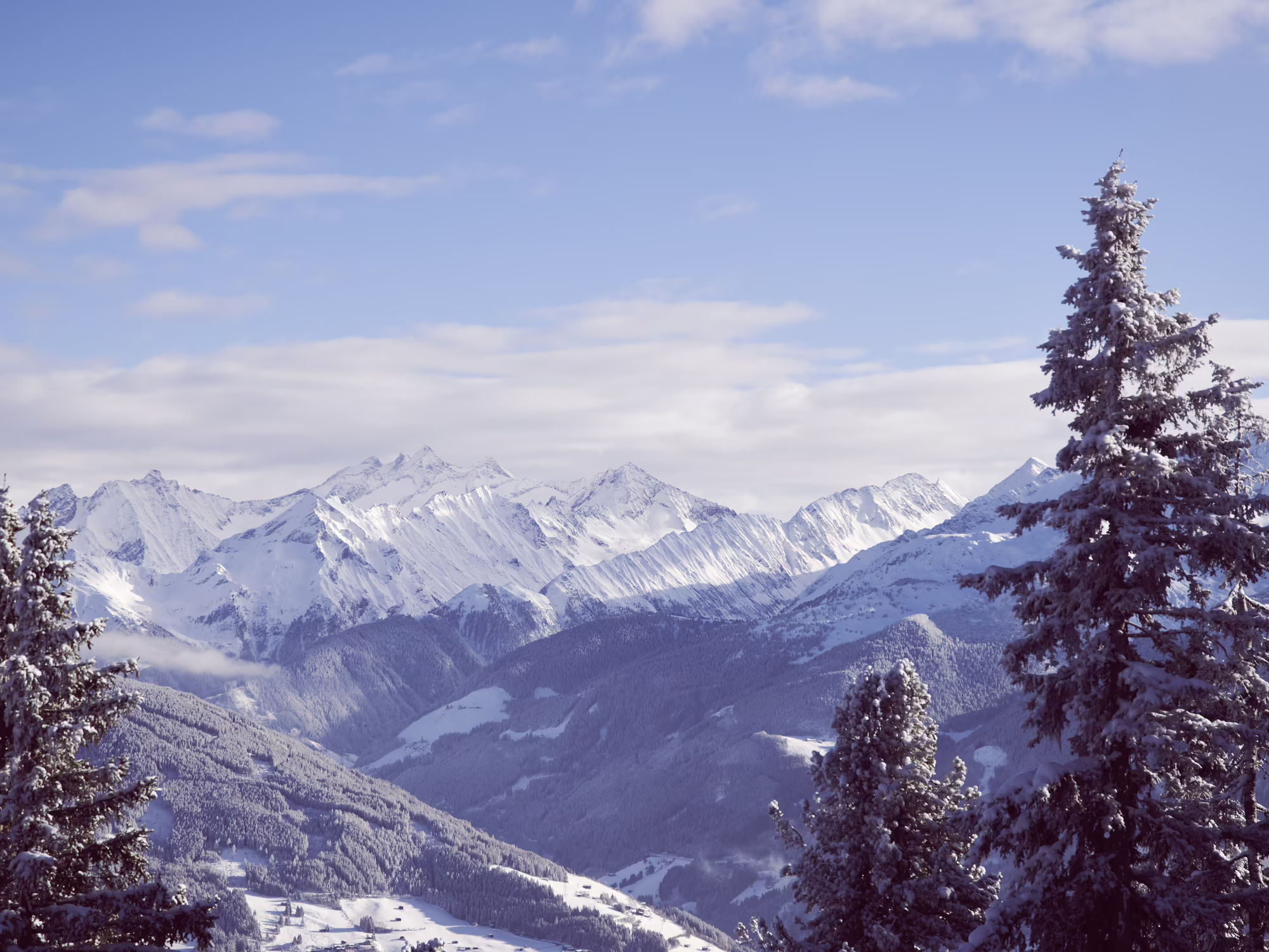 Aussicht von der Platzlalm auf die verschneiten Berge Schneebedeckte Berge unter einem bewölkten Himmel, umgeben von grünen Nadelbäumen im Vordergrund.