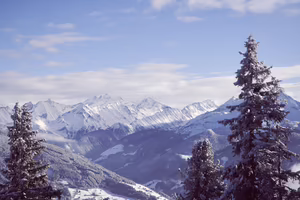 Schneebedeckte Berge unter einem bewölkten Himmel, umgeben von grünen Nadelbäumen im Vordergrund.
