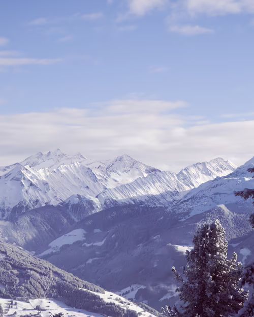 Aussicht von der Platzlalm auf die verschneiten Berge Schneebedeckte Berge unter einem bewölkten Himmel, umgeben von grünen Nadelbäumen im Vordergrund.