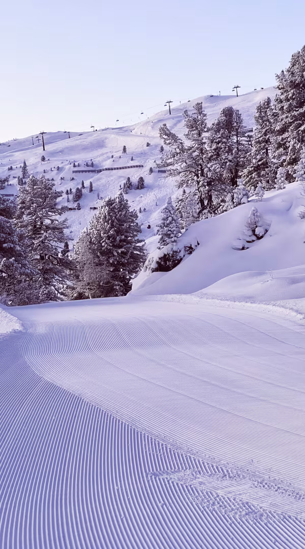 Eine verschneite Landschaft mit einem präparierten Skifahrweg, umgeben von schneebedeckten Bäumen und sanften Hügeln.