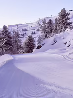 Eine verschneite Landschaft mit einem präparierten Skifahrweg, umgeben von schneebedeckten Bäumen und sanften Hügeln.
